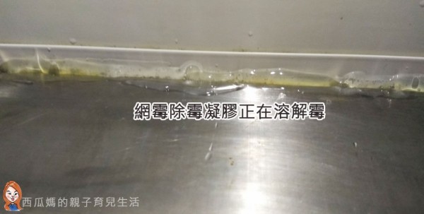 浴室廚房發霉怎麼辦 清除浴室洗手台和廚房牆邊陳年老霉 不傷玉手輕鬆省力這麼辦！ - jenice.tw