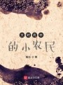 大时代中的小农民在线阅读