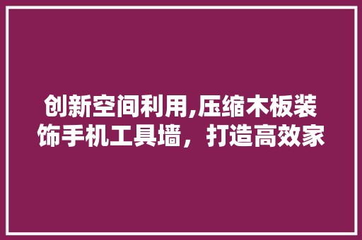 创新空间利用,压缩木板装饰手机工具墙，打造高效家居环境 空间布局