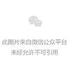行业:电动汽车综合热管理的图4