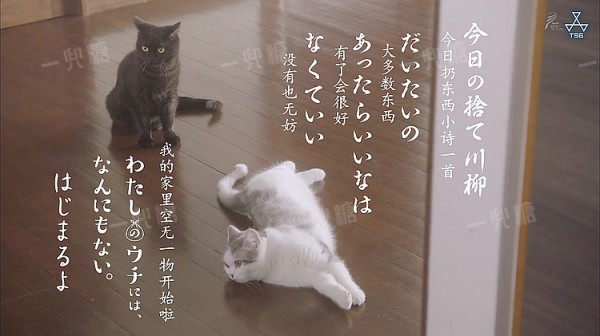 5da49a648d23f.jpg!710