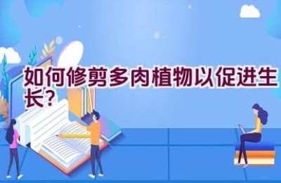 如何修剪多肉植物以促进生长？