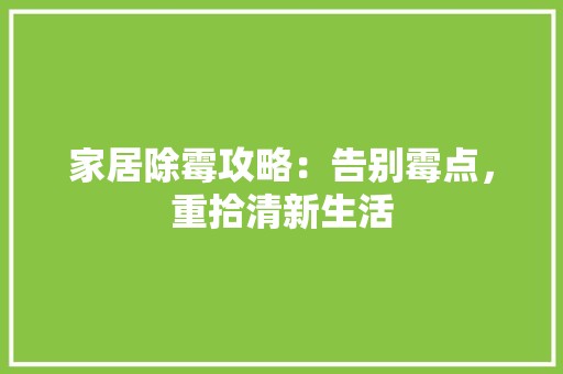 家居除霉攻略：告别霉点，重拾清新生活 现代风格装饰