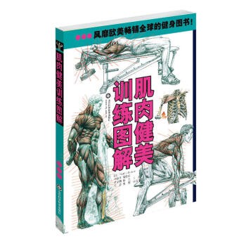 肌肉健美训练图解(新版) 体育运动 保健养生 运动健康 健身技巧指导 健身训练方法 epub pdf mobi txt 电子书 下载