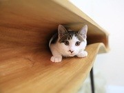 给爱猫一个肆意玩乐的空间 设计师阮昊创作的木头猫桌