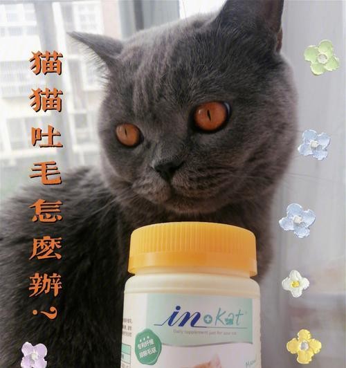 如何清除宠物猫吃掉的毛发？（有效方法让你的宠物猫更健康）