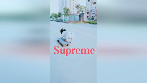 万物皆可supreme，国潮无敌了 (312)