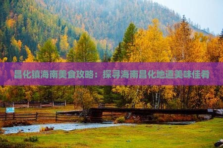 昌化镇海南美食攻略：探寻海南昌化地道美味佳肴