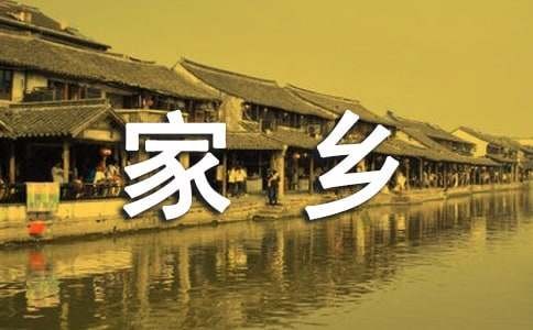 二十年后的家乡作文