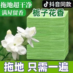 Lois 洛伊丝 地板清洁片去污家用清洁剂杀菌留香去异味瓷砖拖地清洗片清香地砖