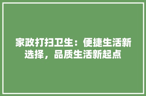 家政打扫卫生：便捷生活新选择，品质生活新起点