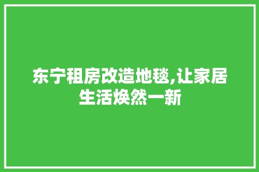 东宁租房改造地毯,让家居生活焕然一新 厨房