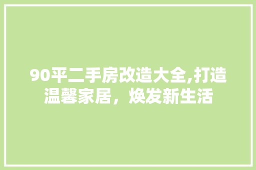 90平二手房改造大全,打造温馨家居，焕发新生活 厨房