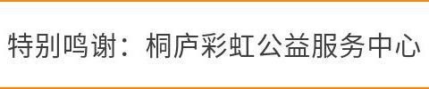 回望初心，走进焕新：浙江省民政厅一行参与“焕新乐园”房间改善