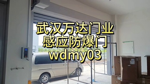 新能源汽车厂防爆电动门感应式联动快速门自动保平开门武汉万达门