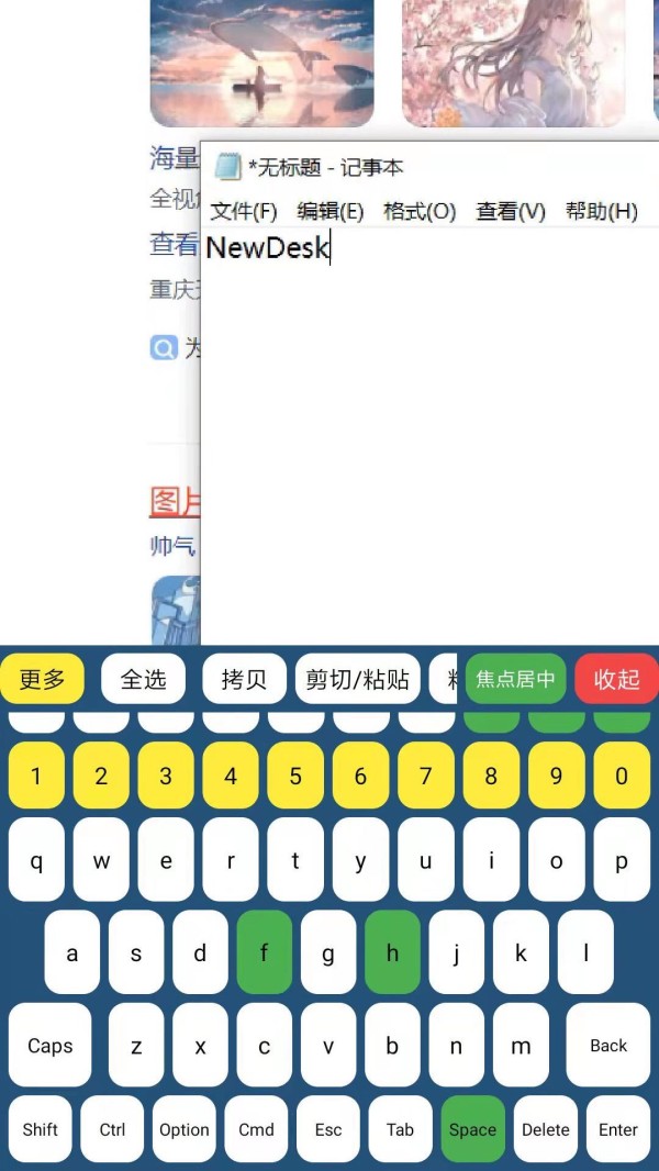 NewDesk远程控制截图