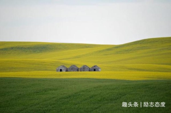 学习一点积极心理学