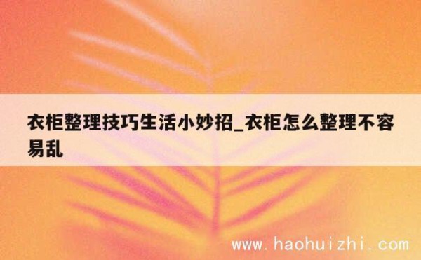 衣柜整理技巧生活小妙招_衣柜怎么整理不容易乱 第1张