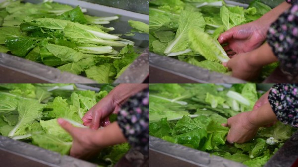 日常生活水池洗菜家务事洗衣做饭