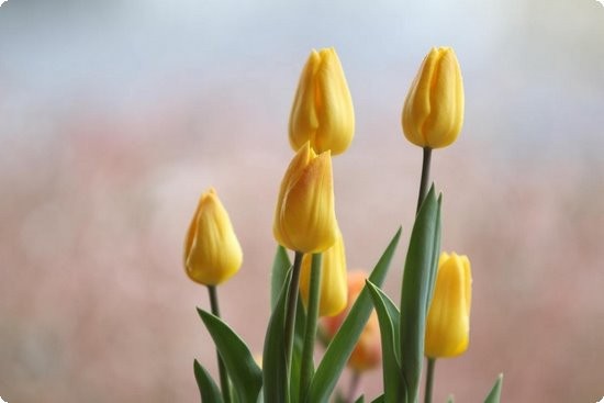 日常生活中我们应该如何节约用水