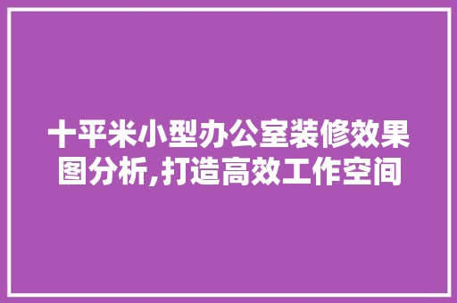 十平米小型办公室装修效果图分析,打造高效工作空间的艺术 客厅装修