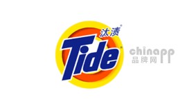 衣物清洗剂十大品牌-汰渍Tide