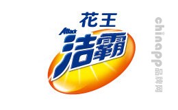 衣物清洗剂十大品牌-洁霸Attack