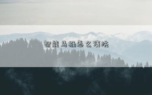 智能马桶怎么清洗