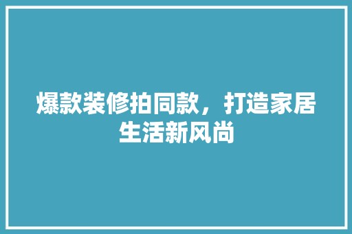 爆款装修拍同款，打造家居生活新风尚 施工流程