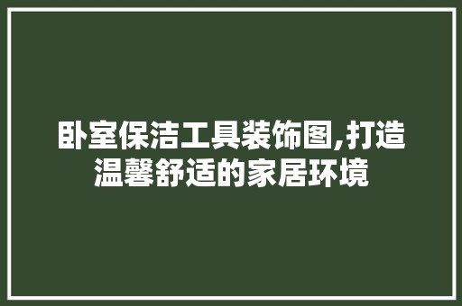 卧室保洁工具装饰图,打造温馨舒适的家居环境 木雕艺术