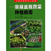 打造自家的安心菜园——家庭盆栽蔬菜种植指南