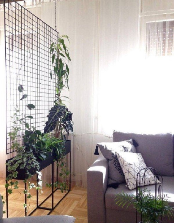 Plantas para separar ambientes