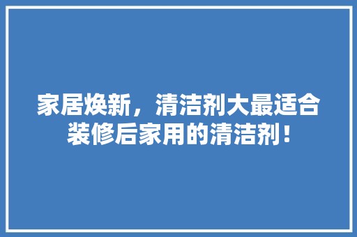 家居焕新，清洁剂大最适合装修后家用的清洁剂！ 厨房