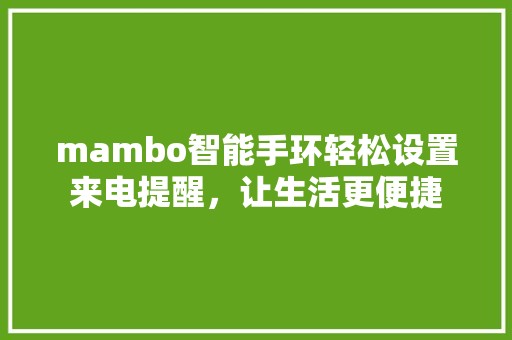 mambo智能手环轻松设置来电提醒，让生活更便捷 科技前沿