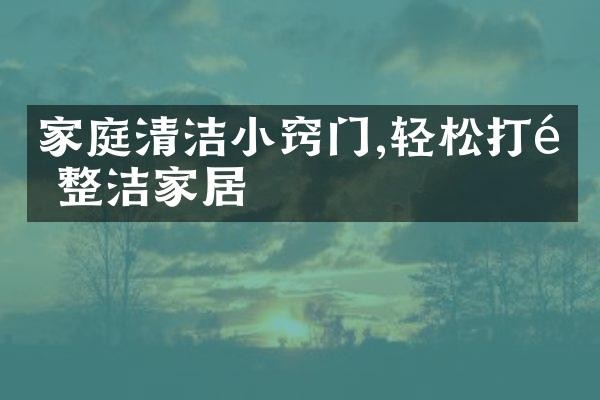 家庭清洁小窍门,轻松打造整洁家居