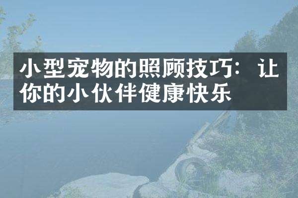 小型宠物的照顾技巧：让你的小伙伴健康快乐