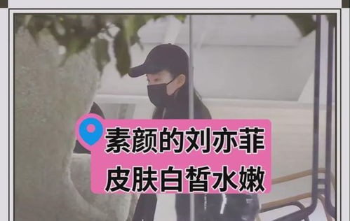 刘亦菲素颜逛家具城_刘亦菲素颜逛家具城