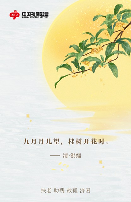 图片19