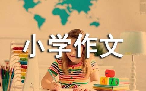 我小学作文(精选)