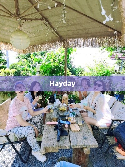 Hayday，乐趣无穷的乡村生活体验hayday国际服安装包