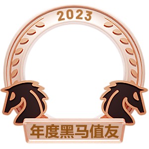 2023黑马值友