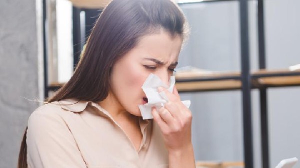 狗肉壮阳是真的吗 教你6种烹饪狗肉的食疗养生方法