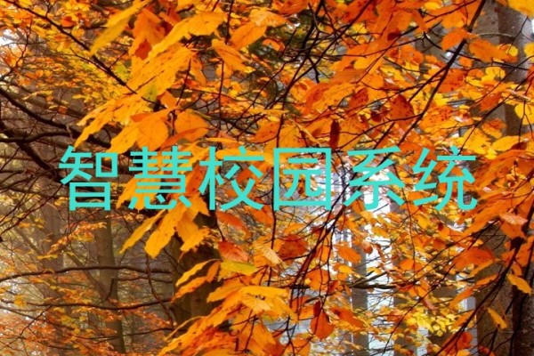 智慧校园系统