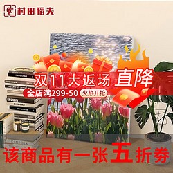 村田稻夫 数字油画diy 风景花卉手绘油画填色客厅装饰画儿童手工画动漫挂画 绚烂郁金香