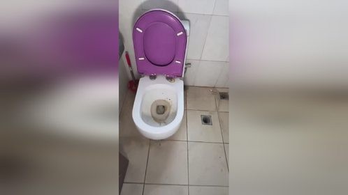 实测使用苦安酸浸泡清洗马桶管道内的坚硬尿碱