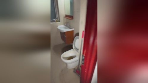 测评使用苦安酸清洗马桶内大面积的s弯坚硬尿碱尿垢黄垢