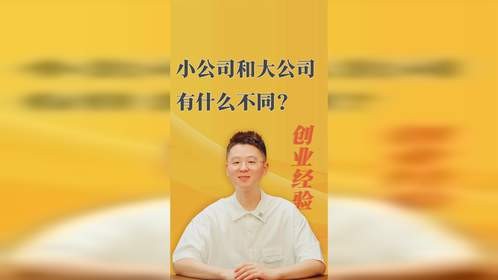 小公司和大公司有什么不同？揭秘商业成功的共通法则！