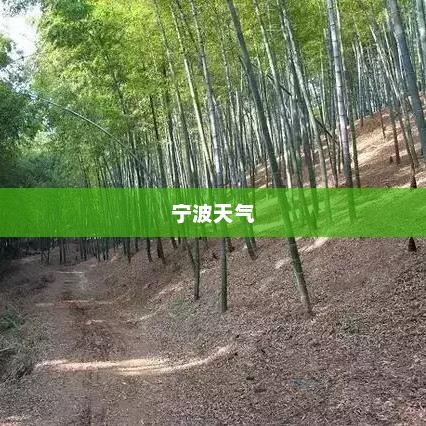 宁波未来7天天气预报，气象变化对生活的影响不容小觑