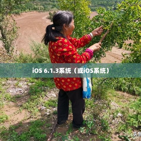 iPhone 4与iOS 6.1.3系统，经典与革新的完美交融