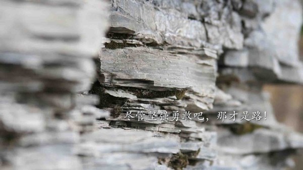 离婚后生活可能并不像预期的那样轻松和愉快。随着家庭规模的变化、个人生活方式的调整以及社会环境的变化，离婚后的生活可能会经历一些困难和挑战。然而，无论是从心理还是生理的角度来看，离婚后的延迟还款确实会对日常生活产生一定影响。